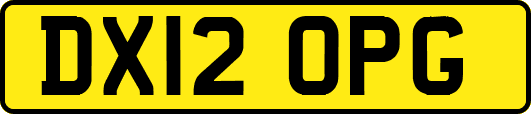 DX12OPG