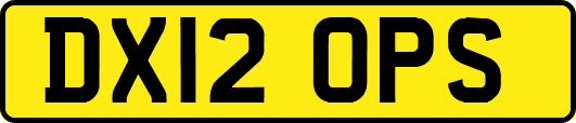 DX12OPS