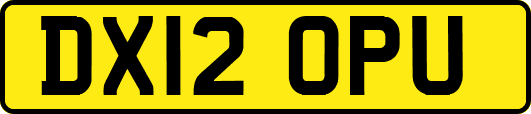 DX12OPU