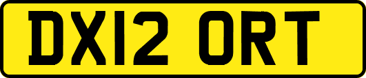 DX12ORT