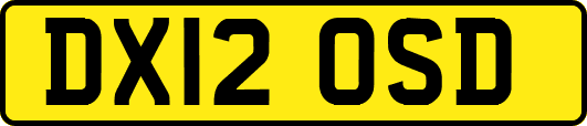 DX12OSD