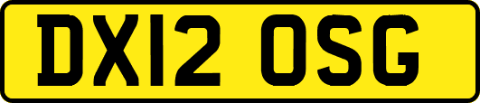 DX12OSG