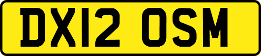 DX12OSM