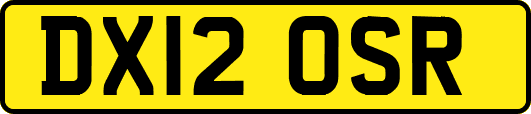 DX12OSR