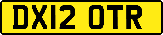 DX12OTR