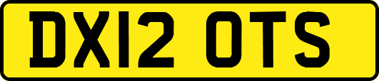 DX12OTS