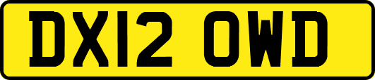 DX12OWD
