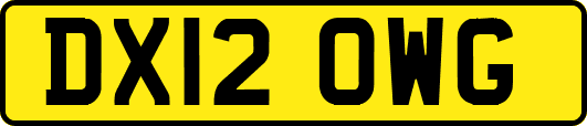DX12OWG