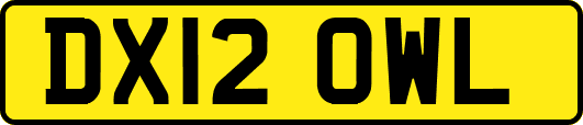 DX12OWL