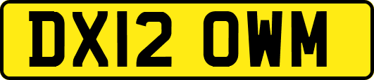 DX12OWM