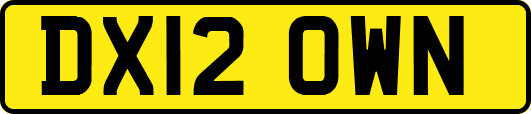 DX12OWN