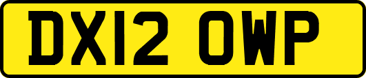 DX12OWP