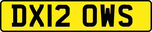 DX12OWS