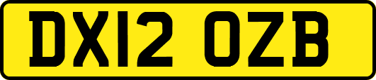 DX12OZB