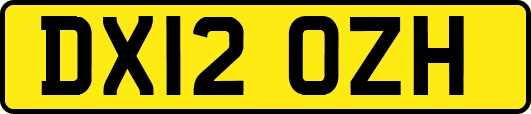 DX12OZH