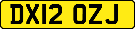 DX12OZJ