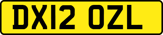 DX12OZL
