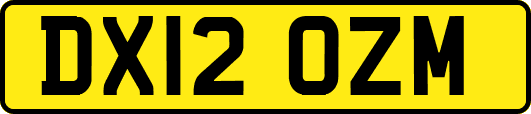 DX12OZM
