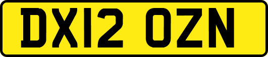 DX12OZN