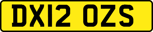 DX12OZS