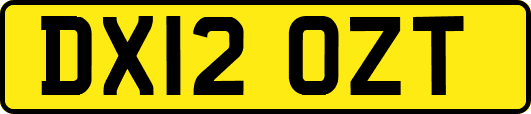 DX12OZT