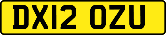 DX12OZU
