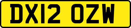 DX12OZW