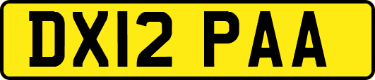 DX12PAA