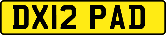DX12PAD