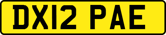DX12PAE