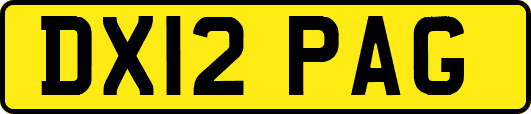 DX12PAG