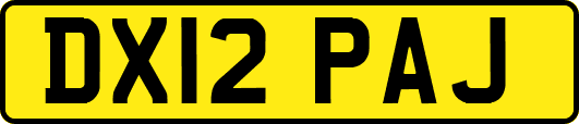 DX12PAJ