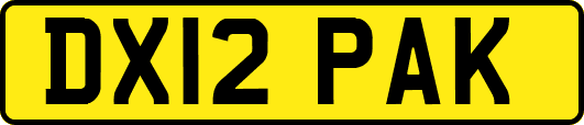 DX12PAK