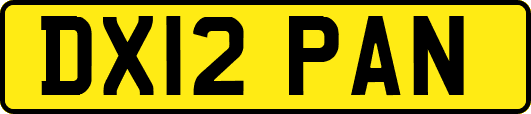 DX12PAN