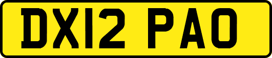 DX12PAO