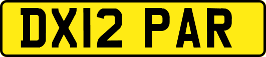 DX12PAR