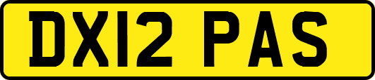 DX12PAS