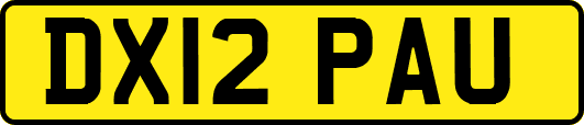 DX12PAU
