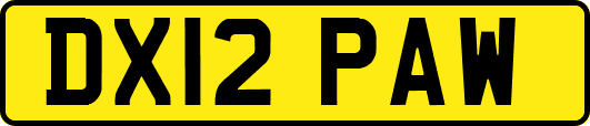 DX12PAW