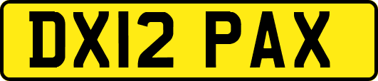 DX12PAX