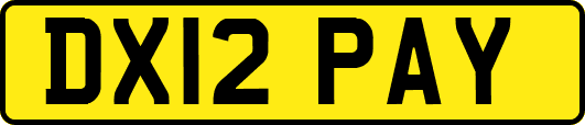 DX12PAY