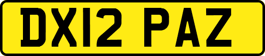DX12PAZ