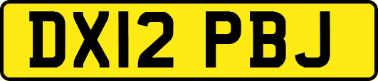 DX12PBJ