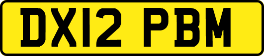DX12PBM