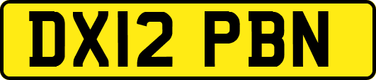 DX12PBN