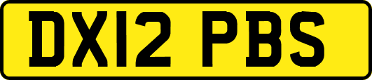 DX12PBS