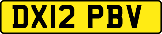 DX12PBV