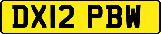 DX12PBW