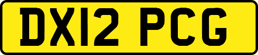 DX12PCG