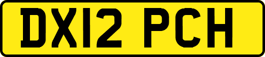 DX12PCH